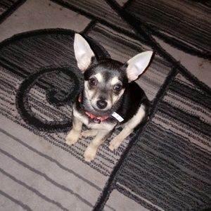 Meet your Posher, Vicki